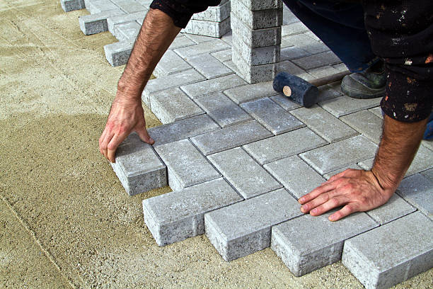 Best Local Driveway Pavers  in Mayville, ND